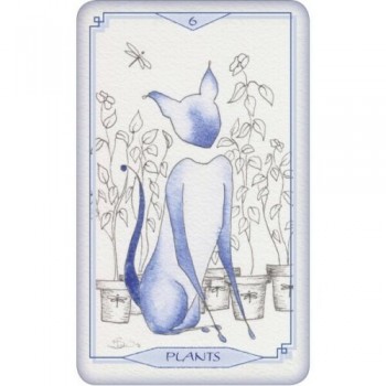 Bleu Cat Taro Kortos Schiffer Publishing